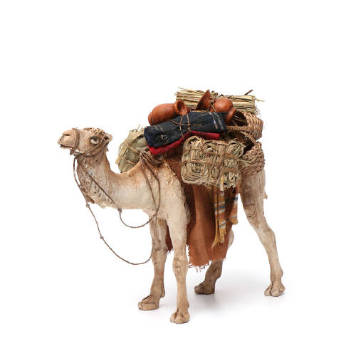 Cammelli 3 pz presepio Moranduzzo 8-10 cm | vendita online su