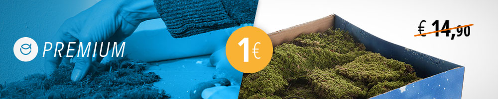 500g muschio per presepe a 1€, solo con Premium
