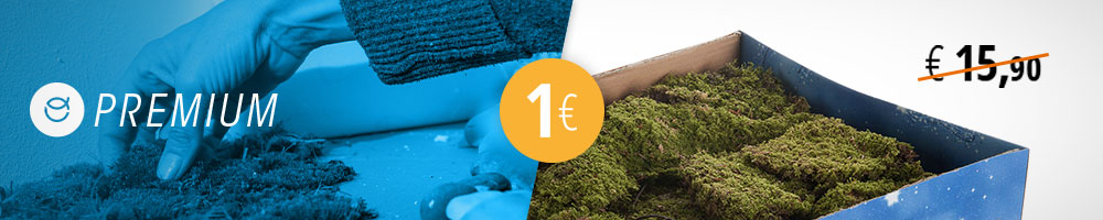 500 g de musgo para belén a 1 €, solo con Premium