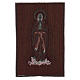 Our Lady of Lourdes tapestry 45x30 cm s3