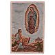 Wandteppich Erscheinung der Mutter Gottes vor Juan Diego 50 x40 cm s1