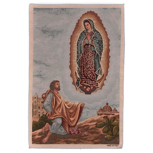 Apparition to Saint Juan Diego tapestry 23x15" 1
