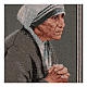 Mother Theresa tapestry 16x12" s2