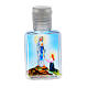 Botella para agua bendita Virgen de Lourdes plástico s2