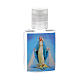 Botella para agua bendita Virgen Milagrosa plástico. s1