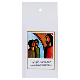 Sachet pour Dimanche des Rameaux en olivier Rencontre de Jésus avec les Jeunes 200 pcs