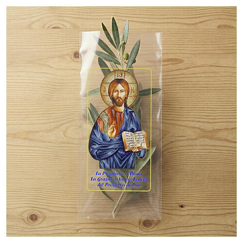 Palm Sunday palm strip bag with Jesus Christ 200 pieces 2
