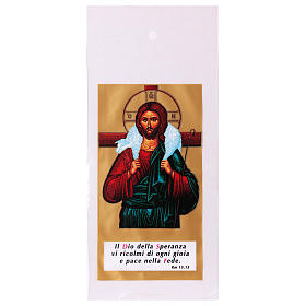 Palmzweig-Schutzhüllen, Motiv Jesus als Guter Hirte, 200 Stück