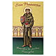 St. Francis Family Blessing Holy Card, 20x10 cm, 100 pk s1