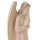 Angel in prayer s5