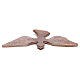 Dove in bronzed brass 15x24cm s3