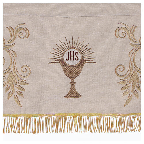 Processional canopy with cannetille fringe, 55x63 in 8