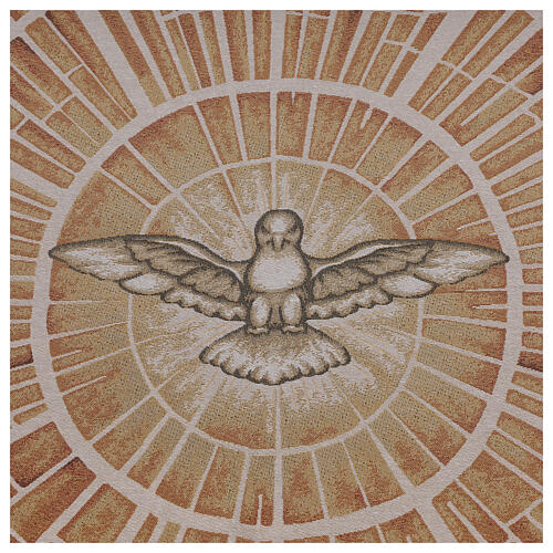 Processional canopy with cannetille fringe, 55x63 in 14