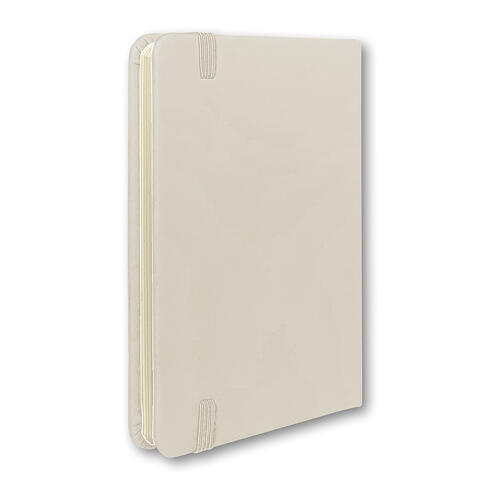 Madonna of Ferruzzi pocket notebook 3