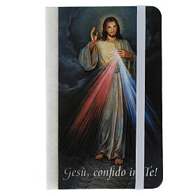 Divine Mercy pocket notebook