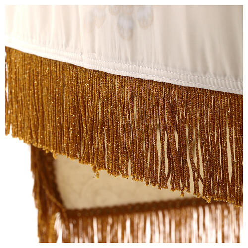 Eucharistic damask processional canopy 130x170 18