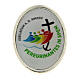 Spilla logo ufficiale Giubileo 2025 acciaio resinato 2x1,5 cm s1