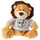 Stuffed animal with t-shirt, lion with Jubilee 2025 official logo, 10 in s1