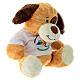 Cagnolino peluche 25 cm logo ufficiale Giubileo 2025 colorato s5