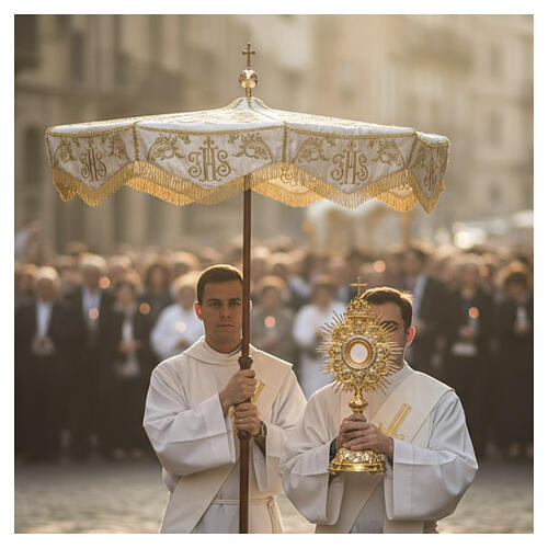 Processional canopy with gold JHS embroidery, curlicues and floral volutes 4