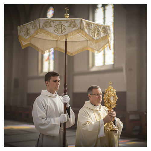 Processional canopy with gold JHS embroidery, curlicues and floral volutes 6