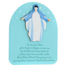 Enfeite mural Nossa Senhora do Acolhimento água-marinha oração FRA 22x20 cm