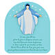 Blessed Mary welcome plaque Azur aquamarine French 22x20 cm s1