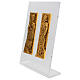 Coppia Piastre in ottone San Pietro e Paolo plexiglass 25x40 cm s5