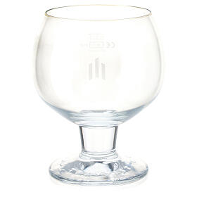 Tynt Meadow beer glass 33 cl