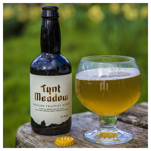 Cerveja Tynt Meadow loira 33 cl Trapistas Ingleses 2