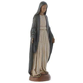 Mother Mary of Rue du Bac s5