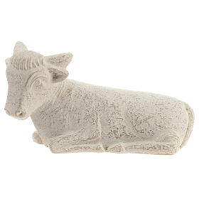 Ochse Krippe Bethlehem