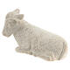 Ochse Krippe Bethlehem s5
