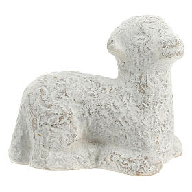 Small sheep for small nativity