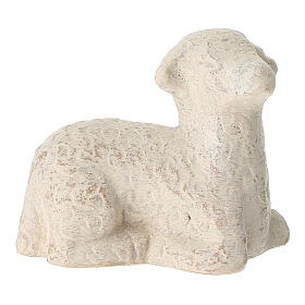 Small sheep for small nativity