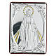 Bilaminate bas-relief Miraculous Mary wall plaque 10x7 cm s1