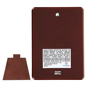 Baixo-relevo bilaminado Aparição Nossa Senhora de Lourdes 10x7 cm s3