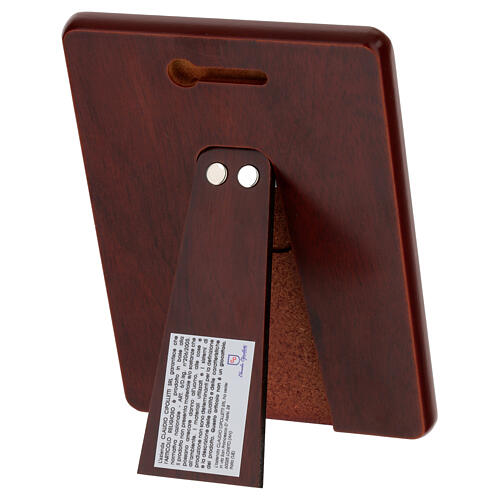 Silver bilaminate picture of Saint Francis of Assisi 3