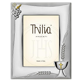 Cadre Thilia calice raisin blé en aluminium argenté communion 25x20 cm