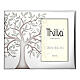 Cornice Thilia  alluminio argentato Albero della Vita foglie verdi foto a lato 20x25 cm s1