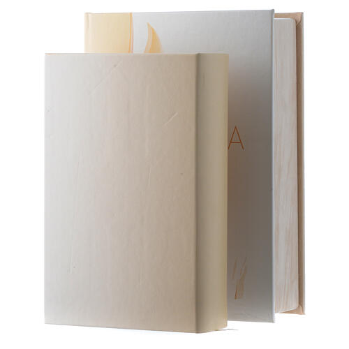 Bibel aus Kunstleder mit silbernem Motiv von Jesus 2