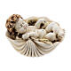 Sleeping angel statue on shell assorted models s5