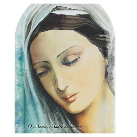 Icône visage Sainte Vierge avec prière 25 cm