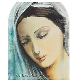 Icône imprimée visage Sainte Vierge avec prière 30 cm