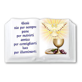 Libro resina ricordo Comunione Cresima 5x8 cm