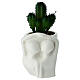 Set vaso assortito innamorati con cactus porcellana 15 cm s2