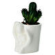 Set vaso assortito innamorati con cactus porcellana 15 cm s5