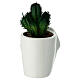 Set vaso assortito innamorati con cactus porcellana 15 cm s6