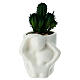 Assorted vase set with lovers and cactus in porcelain, 15 cm s1