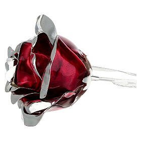Rote Rose 40 cm Bagutta Gastgeschenk